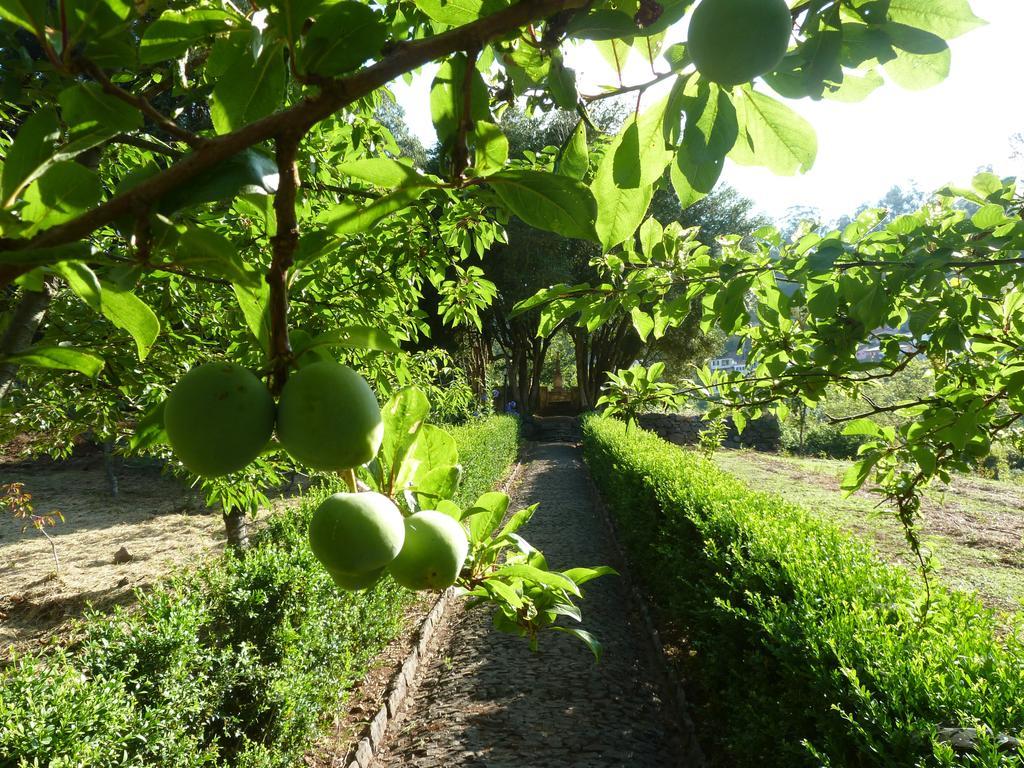 Bio Hotel - Hotel Quinta Da Serra Câmara de Lobos Εξωτερικό φωτογραφία