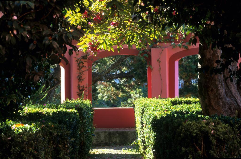 Bio Hotel - Hotel Quinta Da Serra Câmara de Lobos Εξωτερικό φωτογραφία