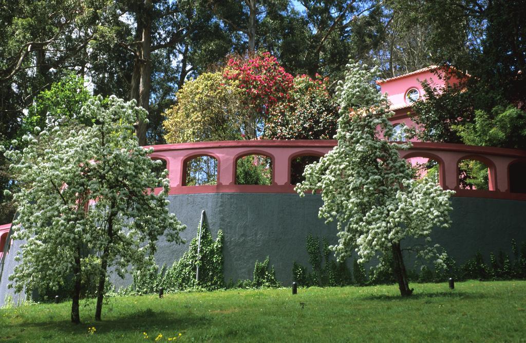 Bio Hotel - Hotel Quinta Da Serra Câmara de Lobos Εξωτερικό φωτογραφία